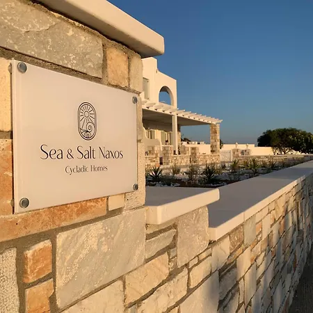 Sea And Salt Naxos 2 Apartment
