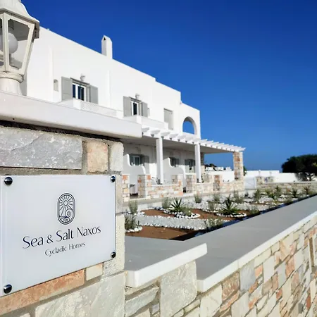 Sea And Salt Naxos 2 Apartment *